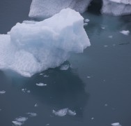 Iceberg 6