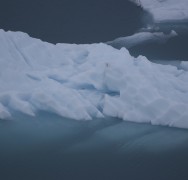 Iceberg 4