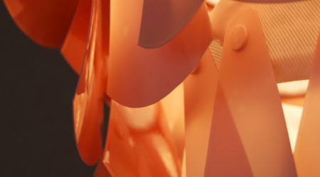 filtre ambre appliqué sur la face interne des pétales